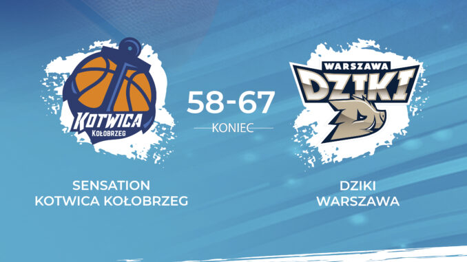 wynik_meczu_ dziki